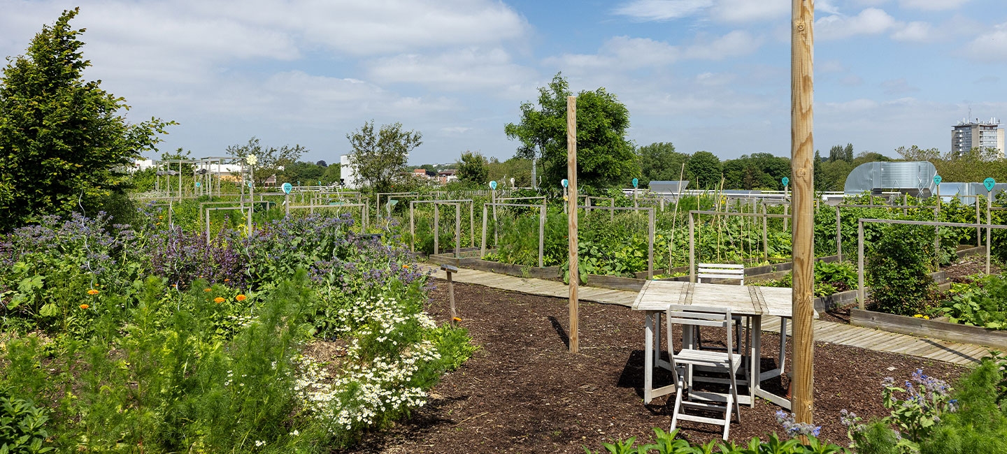 les jardins growsters rooftop les halles de la maillerie villeneuve d'ascq