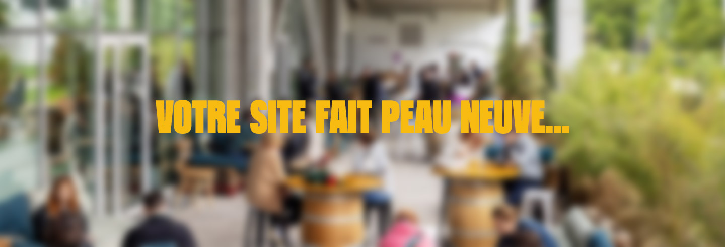 refonte du site web boxtown - ex les halles de la maillerie